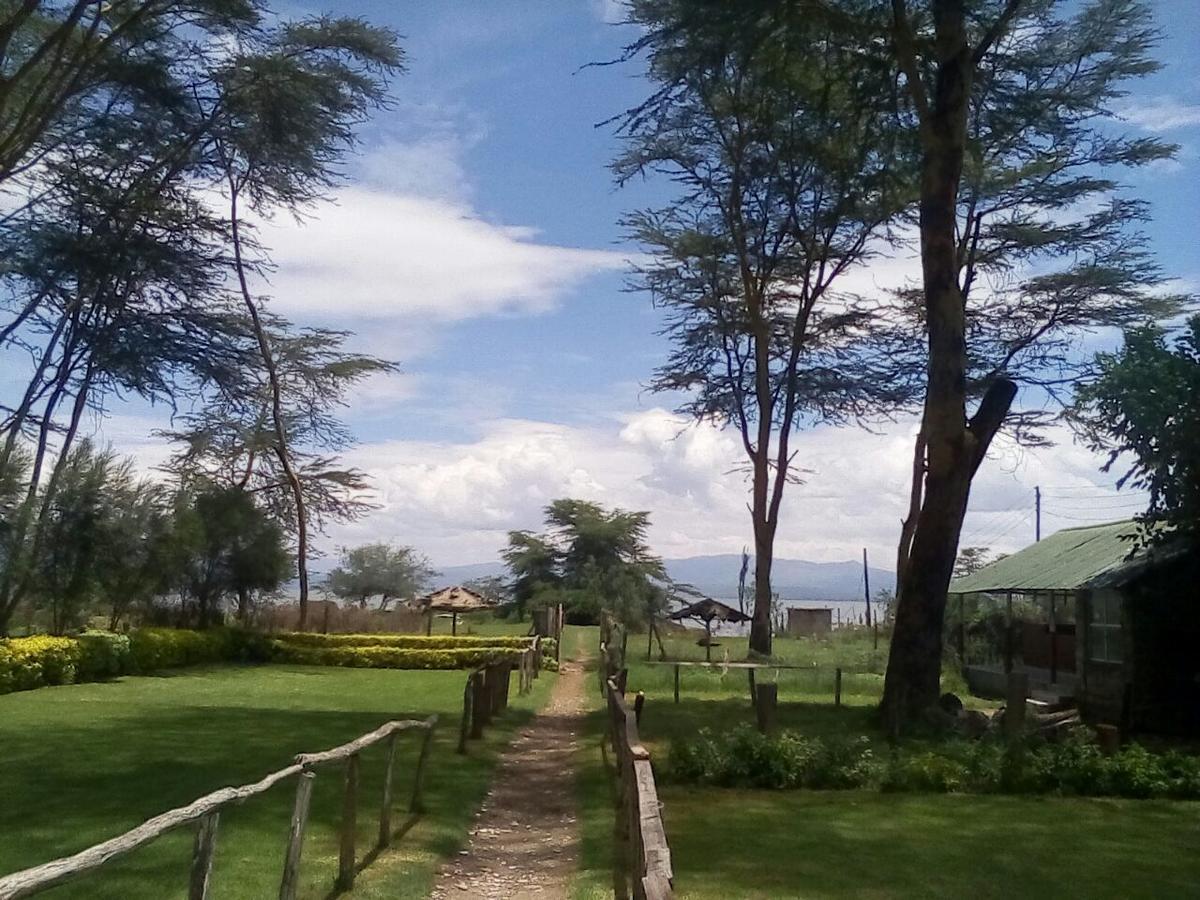 Hippo Safaris Resort ナイバシャ エクステリア 写真